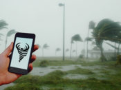 Pictographs for Disaster Communication Logo